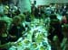 volos_marianna 249